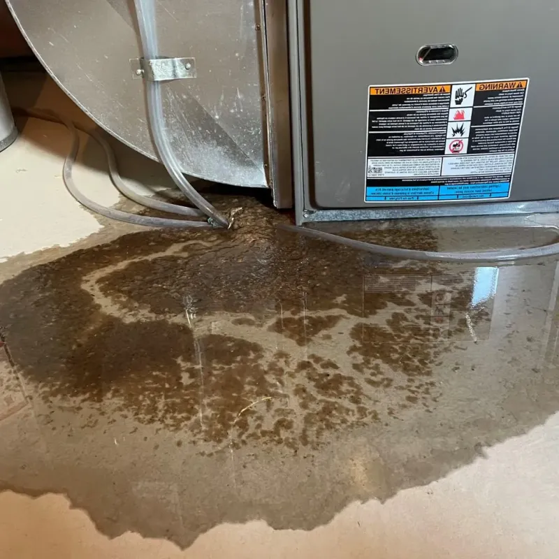Pipe Burst and Leak Restoration in Bellwood, PA