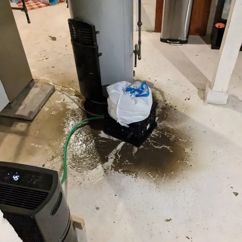 Sewage Backup Cleanup Service in Bellwood, PA